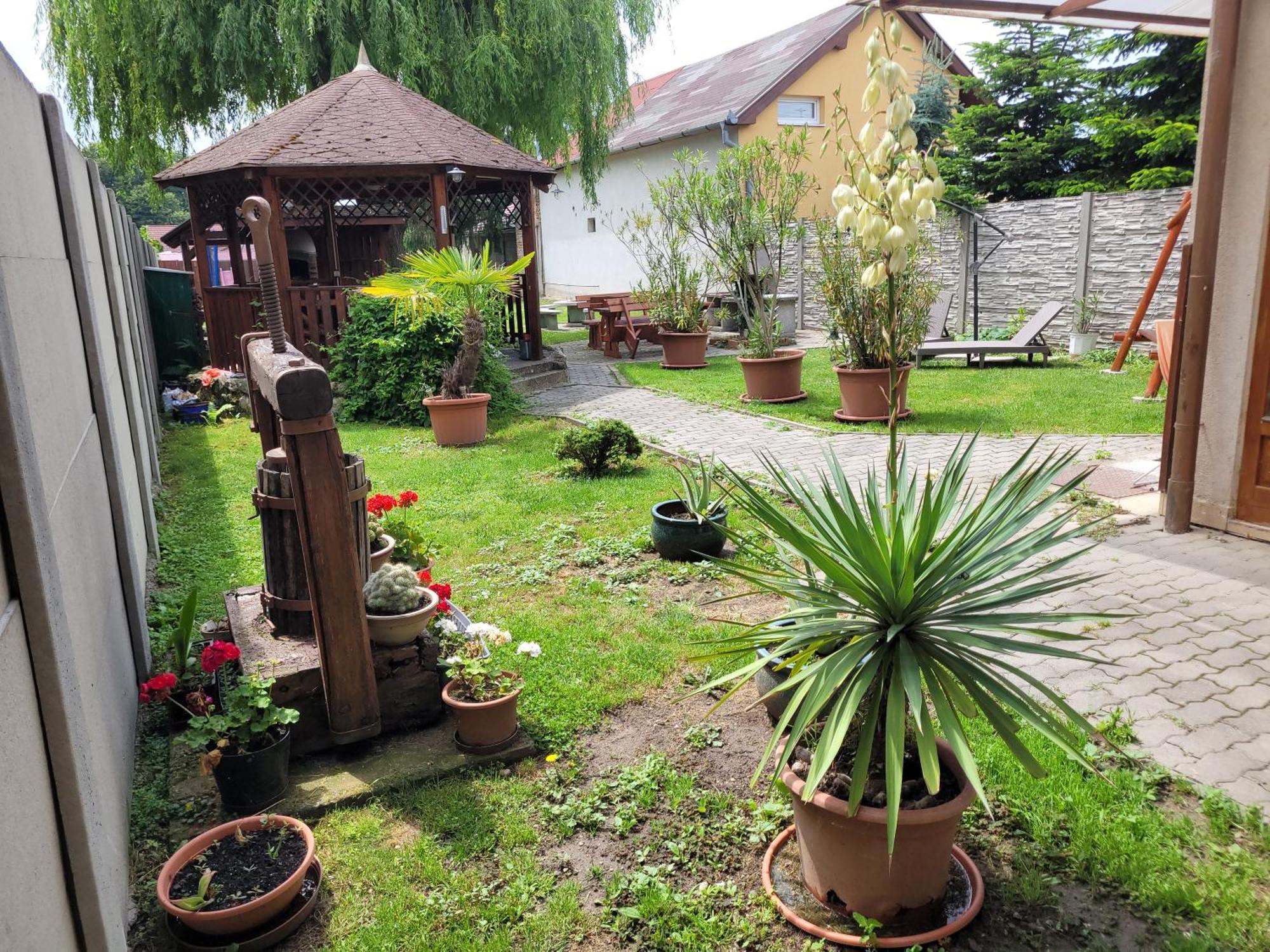 Penzion Korzo Štúrovo Esterno foto